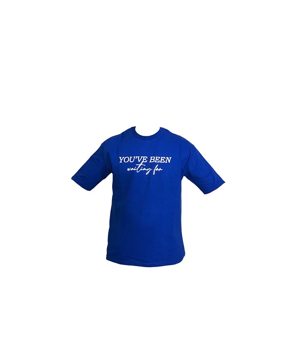 تیشرت فرش،تی شرت مردانه،تیشرت دورس دو نخ،تیشرت فرش،تی شرت طرح دار