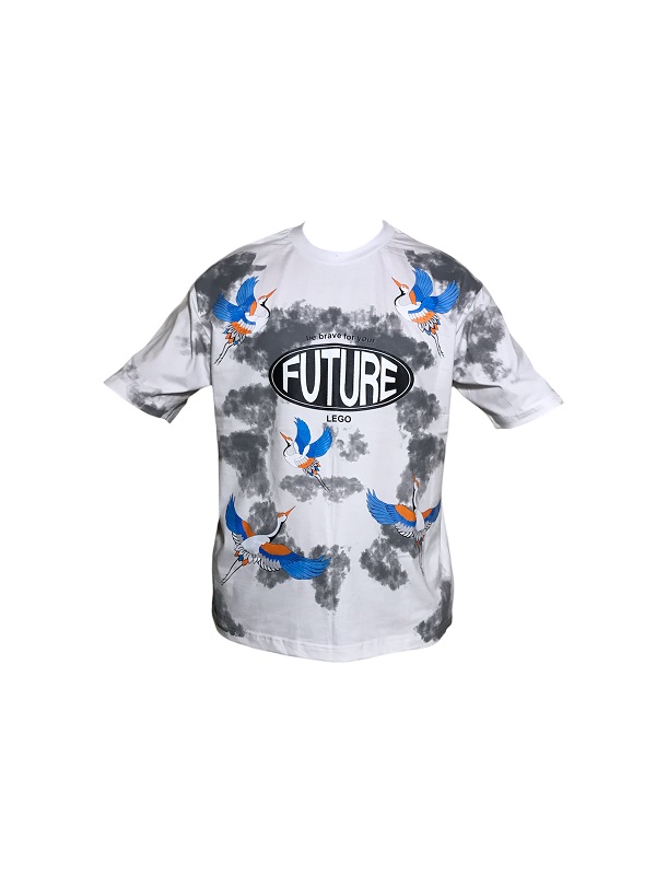 تیشرت لگو،تیشرت امیری،تی شرت تابستانی،تیشرت طرح دار،تیشرت گنگ،تیشرت