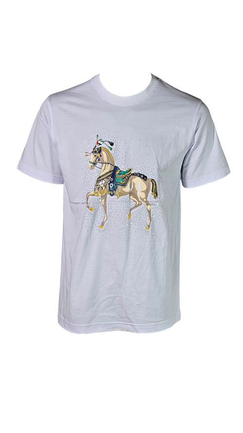 تیشرت،تیشرت طرح دار،تیشرت طرح دار مردانه،تیشرت مردانه،تی شرت طرح دار